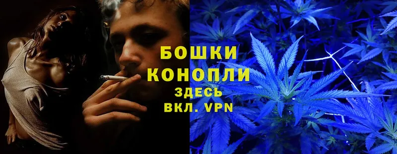 Каннабис White Widow  mega зеркало  Кыштым  как найти закладки 